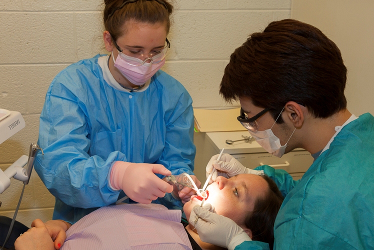 dental care