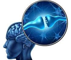 neurofeedback 