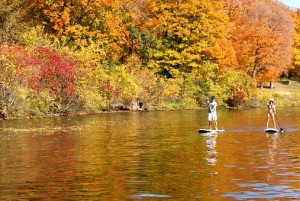 Paddle Board